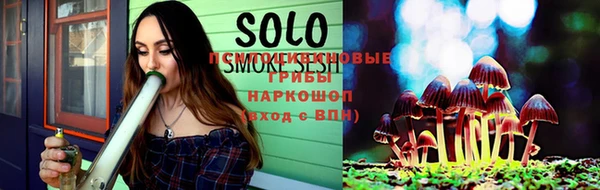 соль ск Алексин