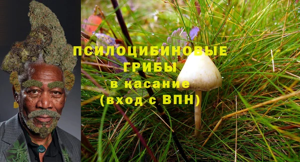 бутират Алексеевка