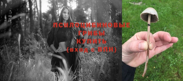 гашик Алзамай