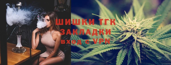 гашик Алзамай