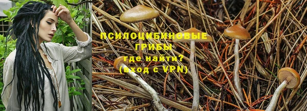 бутират Алексеевка