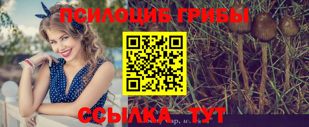 Галлюциногенные грибы ЛСД Курганинск